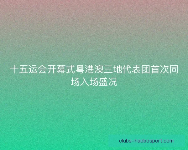 十五运会开幕式粤港澳三地代表团首次同场入场盛况